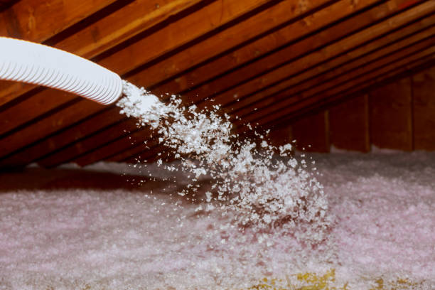 Types of Insulation We Offer in Young Harris, GA